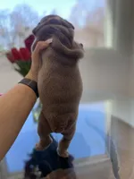 processed/c74264fc-c9f7-4364-91b8-973d83f860a7/listing/9e01ada8-d8f0-4329-bb9e-f6783fb311e3/e29ea1e5-2b1f-4a79-8283-9adf51bc0ce3