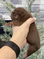 processed/c74264fc-c9f7-4364-91b8-973d83f860a7/listing/d1dc88ef-882d-4f50-86b9-a6b5b1302f7f/12fd306c-7b07-4b31-bc6f-171bdad1acb2