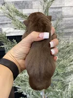 processed/c74264fc-c9f7-4364-91b8-973d83f860a7/listing/d1dc88ef-882d-4f50-86b9-a6b5b1302f7f/9eba23e7-750c-4e03-bf0d-2546635c6560