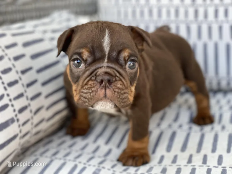 💋Smooches💋 - Cleft Palate