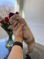 processed/c74264fc-c9f7-4364-91b8-973d83f860a7/listing/de17a2de-cd9a-47c7-a67f-7c6bbe2769f4/a708e837-b51d-475c-89b8-1e577eacd636