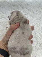 processed/c74264fc-c9f7-4364-91b8-973d83f860a7/listing/de17a2de-cd9a-47c7-a67f-7c6bbe2769f4/aa3ec990-784f-4639-aa24-dcdc7792aff0