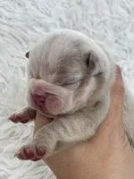 processed/c74264fc-c9f7-4364-91b8-973d83f860a7/listing/de17a2de-cd9a-47c7-a67f-7c6bbe2769f4/badb95af-b322-40bf-9d40-14fc9ac516b7