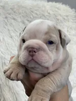 processed/c74264fc-c9f7-4364-91b8-973d83f860a7/listing/de17a2de-cd9a-47c7-a67f-7c6bbe2769f4/c1acb940-58fb-4ad2-b465-a280e9d68183