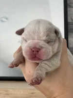 processed/c74264fc-c9f7-4364-91b8-973d83f860a7/listing/de17a2de-cd9a-47c7-a67f-7c6bbe2769f4/d7c4d348-121e-4bc0-be90-2e14f8b8c138