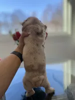 processed/c74264fc-c9f7-4364-91b8-973d83f860a7/listing/de17a2de-cd9a-47c7-a67f-7c6bbe2769f4/deca7e5f-ec77-4be7-b14c-1e47ede15e9b