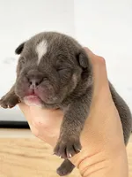 processed/c74264fc-c9f7-4364-91b8-973d83f860a7/listing/de1a58e5-1266-4027-ae41-f893037aea09/0bfbb11f-c743-4f86-b597-aa950f174520