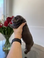 processed/c74264fc-c9f7-4364-91b8-973d83f860a7/listing/de1a58e5-1266-4027-ae41-f893037aea09/1184d273-0080-42e1-9d0a-d073f12706c9