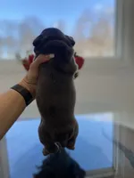 processed/c74264fc-c9f7-4364-91b8-973d83f860a7/listing/de1a58e5-1266-4027-ae41-f893037aea09/373754a3-59c7-40b2-b614-eded2948ae2f