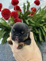 processed/c74264fc-c9f7-4364-91b8-973d83f860a7/listing/f2cebbf5-5fc3-41f0-b62a-0de0d14d6280/18a15348-b58a-425c-836e-6924141289fd