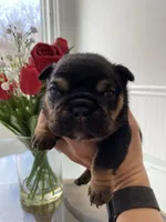 processed/c74264fc-c9f7-4364-91b8-973d83f860a7/listing/f2cebbf5-5fc3-41f0-b62a-0de0d14d6280/5970bb48-c20f-4634-90b6-110ad4f436a6