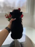 processed/c74264fc-c9f7-4364-91b8-973d83f860a7/listing/f2cebbf5-5fc3-41f0-b62a-0de0d14d6280/59a47d4c-f0b3-473c-8f95-436b57728e34