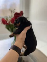 processed/c74264fc-c9f7-4364-91b8-973d83f860a7/listing/f2cebbf5-5fc3-41f0-b62a-0de0d14d6280/705a7ee3-f70b-4767-a23f-01d3a91daf3a