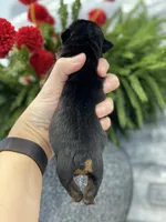 processed/c74264fc-c9f7-4364-91b8-973d83f860a7/listing/f2cebbf5-5fc3-41f0-b62a-0de0d14d6280/c8948fc9-0fc4-443b-a326-8ae2ba57c950