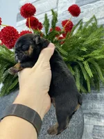 processed/c74264fc-c9f7-4364-91b8-973d83f860a7/listing/f2cebbf5-5fc3-41f0-b62a-0de0d14d6280/fbbe201c-48e6-438a-ab20-52b2e3fdeab7