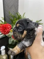 processed/c74264fc-c9f7-4364-91b8-973d83f860a7/listing/fd29f811-b89f-4214-9f6c-3c9850170d0c/0ade02cf-ea69-4d3f-8c94-6f1fc006b249