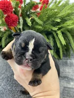 processed/c74264fc-c9f7-4364-91b8-973d83f860a7/listing/fd29f811-b89f-4214-9f6c-3c9850170d0c/7ffef05e-f6e7-411b-869a-80aa76726470