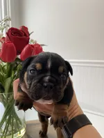 processed/c74264fc-c9f7-4364-91b8-973d83f860a7/listing/fd29f811-b89f-4214-9f6c-3c9850170d0c/96da8c16-72e5-4cbf-8c15-bb6ea62f7c4f