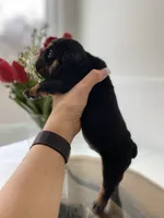 processed/c74264fc-c9f7-4364-91b8-973d83f860a7/listing/fd29f811-b89f-4214-9f6c-3c9850170d0c/ebfb8d7c-fe5c-41fa-8774-86c3aeae6513