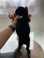 processed/c74264fc-c9f7-4364-91b8-973d83f860a7/listing/fd29f811-b89f-4214-9f6c-3c9850170d0c/f1abddd0-f3e9-42bf-a048-9a876c1ce832