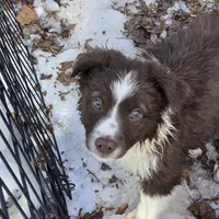 processed/c7513f06-473f-432a-8880-76e56586bd79/listing/8eea7ef8-51ec-4f7a-88d3-830bb2b6b67e/11c85774-7d08-40e7-9373-6ab0eb862e9e