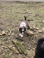 processed/c7513f06-473f-432a-8880-76e56586bd79/listing/8eea7ef8-51ec-4f7a-88d3-830bb2b6b67e/8be14d2d-4270-4cf2-a61a-a85e78822025