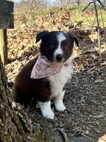 processed/c7513f06-473f-432a-8880-76e56586bd79/listing/8eea7ef8-51ec-4f7a-88d3-830bb2b6b67e/abeb2735-6370-40eb-9a72-256443a58896