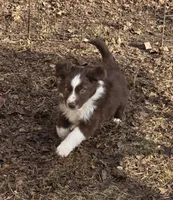 processed/c7513f06-473f-432a-8880-76e56586bd79/listing/8eea7ef8-51ec-4f7a-88d3-830bb2b6b67e/d0e3d9e0-bfd1-4d88-83c2-4500c558bf70