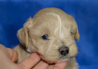 processed/c752db6f-3127-4fee-a8f7-88a49b76c763/facility/115d107d-fde3-41f0-8c71-e4b12959aa38