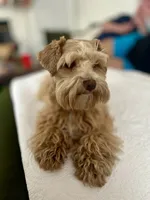 processed/c752db6f-3127-4fee-a8f7-88a49b76c763/facility/34dc6ca9-33ab-4b46-ba0e-aab588f2d2c1