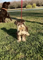 processed/c752db6f-3127-4fee-a8f7-88a49b76c763/facility/cfbeb654-b323-4c40-ba53-ae0de257cd3c