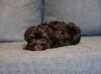 processed/c752db6f-3127-4fee-a8f7-88a49b76c763/listing/6bba754d-2a8f-4677-86a0-4c062098a77b/4fe4cc92-95a9-436f-9067-841489252b1f