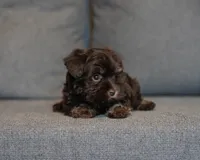 processed/c752db6f-3127-4fee-a8f7-88a49b76c763/listing/6bba754d-2a8f-4677-86a0-4c062098a77b/fd6d4cde-b7cb-4ef1-bf96-77517404b4d6