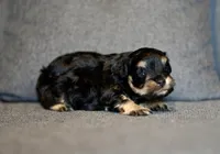 processed/c752db6f-3127-4fee-a8f7-88a49b76c763/listing/87cfc5e4-6d72-494b-aa7e-fe5596229329/a40250b2-92a5-4323-a0a9-8ea500da01df