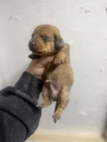 processed/c757272a-a150-4f0c-a519-6eb8a057d3b0/listing/52d30bae-0bc6-4850-9593-b387d06923b1/323af9aa-170f-474e-aff3-9155dff221d3