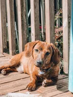 processed/c757272a-a150-4f0c-a519-6eb8a057d3b0/listing/52d30bae-0bc6-4850-9593-b387d06923b1/64e91a49-080a-4c80-be2a-c1057862f66b