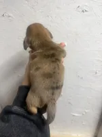 processed/c757272a-a150-4f0c-a519-6eb8a057d3b0/listing/52d30bae-0bc6-4850-9593-b387d06923b1/7abd1f01-f9cb-41e1-86d4-bbc496168a1b