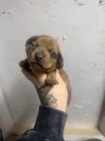 processed/c757272a-a150-4f0c-a519-6eb8a057d3b0/listing/52d30bae-0bc6-4850-9593-b387d06923b1/c1144c1b-ed52-4b15-b098-9932588b0211