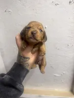 processed/c757272a-a150-4f0c-a519-6eb8a057d3b0/listing/9ad645b2-f238-4794-a8eb-8170ac219ccd/2814bfcb-c58f-48b8-b6f7-9a71c7f78da1