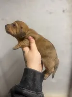 processed/c757272a-a150-4f0c-a519-6eb8a057d3b0/listing/9ad645b2-f238-4794-a8eb-8170ac219ccd/616056af-63c9-4214-bc9e-b553417fdf88