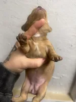 processed/c757272a-a150-4f0c-a519-6eb8a057d3b0/listing/9ad645b2-f238-4794-a8eb-8170ac219ccd/6d171e79-a638-42f6-aeae-8f96fded3c85