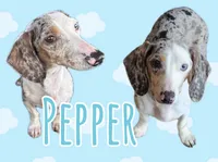 processed/c757272a-a150-4f0c-a519-6eb8a057d3b0/listing/9ad645b2-f238-4794-a8eb-8170ac219ccd/7108af23-341d-471f-b1d9-a1611f010316