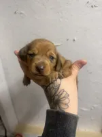 processed/c757272a-a150-4f0c-a519-6eb8a057d3b0/listing/9ad645b2-f238-4794-a8eb-8170ac219ccd/f8e3ea17-5a47-4522-87ec-cf76b077bf68