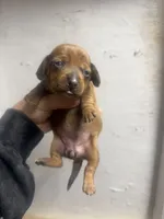 processed/c757272a-a150-4f0c-a519-6eb8a057d3b0/listing/e14a549d-eba7-4857-a319-63c891dbf649/11ffbf84-018f-4ff5-ba1f-82da567f0831