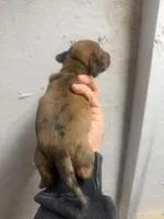 processed/c757272a-a150-4f0c-a519-6eb8a057d3b0/listing/e14a549d-eba7-4857-a319-63c891dbf649/b4309aa5-1b85-4258-966c-f44e8a6cf6e7