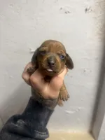 processed/c757272a-a150-4f0c-a519-6eb8a057d3b0/listing/e14a549d-eba7-4857-a319-63c891dbf649/de81dd30-4078-4c01-8b8e-c2638f5da88f