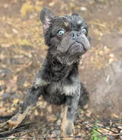 processed/c757272a-a150-4f0c-a519-6eb8a057d3b0/listing/e5821c86-e5fe-4a5d-9a44-d7d8c52b7cf5/155c0189-d2cf-418c-a471-e4d5565339de