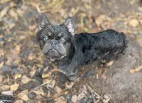 processed/c757272a-a150-4f0c-a519-6eb8a057d3b0/listing/e5821c86-e5fe-4a5d-9a44-d7d8c52b7cf5/6da7760c-b7ef-4be6-960b-f588717c23e4