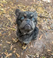 processed/c757272a-a150-4f0c-a519-6eb8a057d3b0/listing/e5821c86-e5fe-4a5d-9a44-d7d8c52b7cf5/9266004b-f1a5-4d16-87b5-381a75752f1c