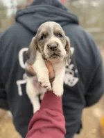 processed/c757272a-a150-4f0c-a519-6eb8a057d3b0/listing/e7b3a98a-39ca-44a8-ab5e-ad3a47fbff79/18e4ae24-7dc0-4dbd-bf3d-68c87d4a6bc2